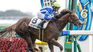 【東京6R新馬戦結果】ビーオンザマーチが抜け出し新馬勝ち