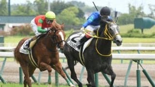 【中京5R新馬戦結果】ブレスレスリーが逃げ切りV　新種牡馬アメリカンペイトリオット産駒