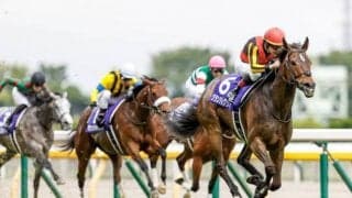 【安田記念予想】前走ヴィクトリアMからの勝利ならウオッカ以来 グランアレグリアからの妙味ある相手馬とは?