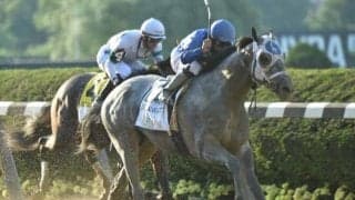 【米・ベルモントS】2歳王者エッセンシャルクオリティがV　日本のフランスゴデイナは競走中止/海外競馬レース結果