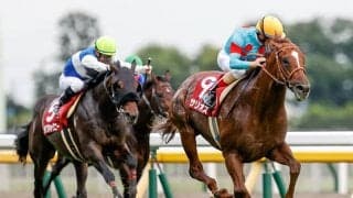 【安田記念予想】コース適性と距離適性を武器に打倒グランアレグリアを目論むサリオス