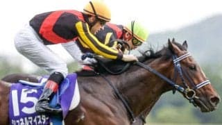 【本日の注目ポイント】春のマイル王決定戦・安田記念