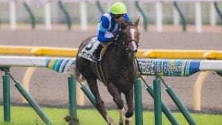 【新馬/東京6R】モーリス産駒 ビーオンザマーチがデビューV