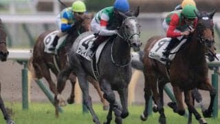 【新馬/東京5R】ステラヴェローチェ半妹 クレイドルがデビューV