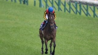 【安田記念】ルメール「苦しそうだった」レース後ジョッキーコメント