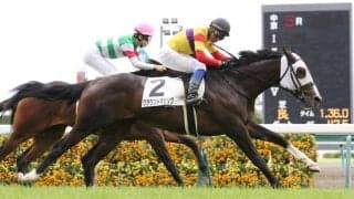 【新馬/中京5R】2歳一番星はクラウンドマジック