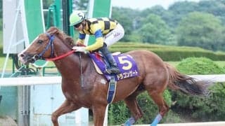 19年ぶりの記録更新へ！ 「スーパーゴールデンルーキー」飛田愛斗騎手