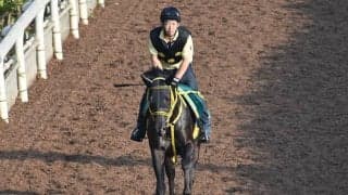 ワイドカイザーなど、先週のゲート試験/栗東トレセンニュース