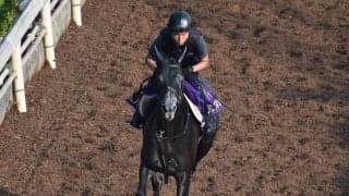 クロノジェネシスなど、先週の入厩情報/栗東トレセンニュース