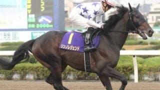 【門別競馬情報】赤レンガ記念快勝リンノレジェンドは盛岡マーキュリーカップJpnIIIに挑戦も。今夜メイン12Rは「ダンカーク賞」