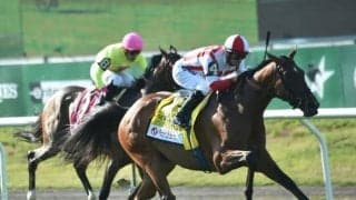 C.ブラウン厩舎にまたしても芝の大物誕生