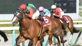 【函館スプリントS展望】サマースプリントシリーズ開幕戦、あの馬に期待