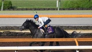 クロノジェネシス、宝塚記念2週前追い切り速報/栗東トレセンニュース