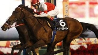 【先週のJRA抹消馬】18年クリスマスCを制したスワーヴアーサー、マヤノトップガン産駒のオーシャンビューなど
