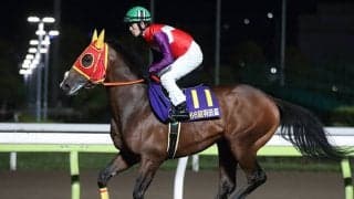 【東京ダービー・オッズ】羽田盃1着トランセンデンスと4着チサットが人気争う