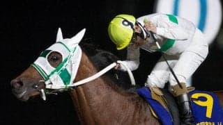 【東京ダービー】左海「感謝の気持ちで一杯」アランバローズ逃げ切る