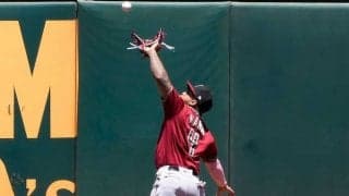 【MLB】捕球or落球？　フェンス激突後のポロリが議論の的に「明らかに捕球」「判定は正しい」