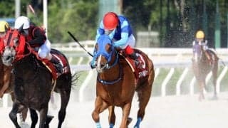 【兵庫ダービー結果】スマイルサルファーが接戦制し重賞初制覇