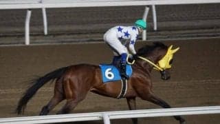 【門別競馬情報】JRA北海道シリーズも始まる中、絶好調つづくホッカイドウ競馬。今週ラスト開催のメイン12Rは「ウインブライト賞」/地方競馬情報