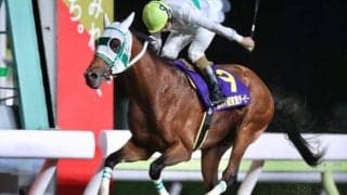 【大井・東京ダービー結果】2歳王者アランバローズが逃げ切り戴冠！