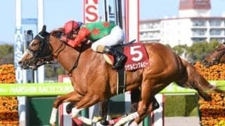 函館スプリントＳの注目の２頭。北海道の洋芝で３歳牝馬の好走に期待！