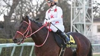 混戦の函館スプリントＳは良血２頭に注目も、上昇一途の「曲者」にも要注意