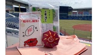 ロッテが「ちばの美食でおもてなしセット」配布　13日巨人戦、特産3品を先着1000名に