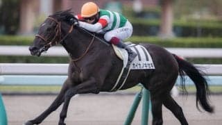 【新馬/札幌5R】カイカノキセキがレコードV