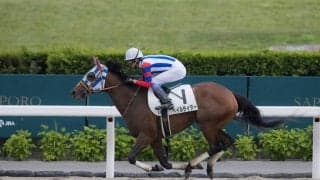 【札幌2R】武豊 ペイルライダーが初勝利