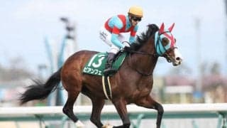 【函館スプリントS予想】開幕週の札幌を制するのは抜群のスピードと加速力を武器にする実績馬