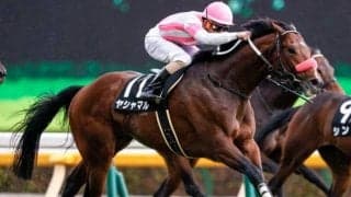 【WIN5予想】エプソムCは“東京巧者”を素直に重視したい/伊吹雅也