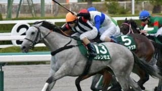 【函館スプリントS前日オッズ】カレンモエが2.3倍で1番人気