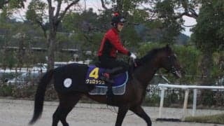 【エプソムC】ヴェロックス陣営「馬が若いです」/ねぇさんのトレセン密着