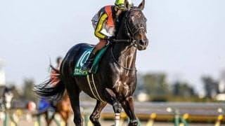 【JRA】グロンディオーズが骨折、全治3ヶ月以上　今年のダイヤモンドS覇者