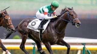 【東京5R新馬戦結果】ヴァーンフリートが競り合いを制して新馬勝ち