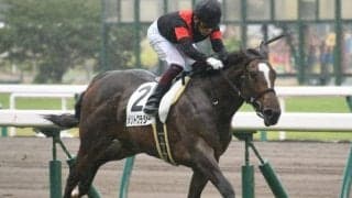 【中京5R新馬戦結果】メリトクラシーが逃げ切りV　シルバーステート産駒初勝利