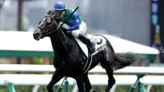 【札幌5R新馬戦結果】トーセンサンダーが押し切りレコードV