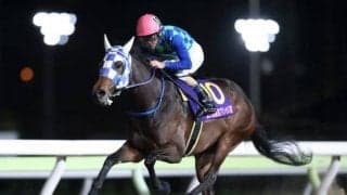 【川崎・関東オークス枠順確定】ケラススヴィアは6枠7番、ウェルドーンは5枠6番