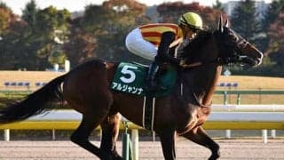 【エプソムC・馬体重】アルジャンナは462kg(-4)、ザダルは504kg(+12)