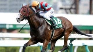 【函館スプリントS結果】ビアンフェが逃げ切り重賞3勝目