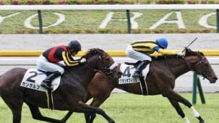 【東京8R】良血グランオフィシエが連勝