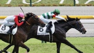 【新馬/東京5R】リオンディーズ産駒 ヴァーンフリートがデビューV