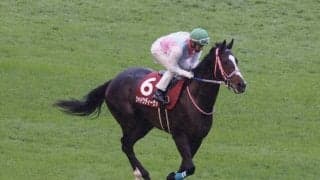 【マーメイドS登録馬】シャドウディーヴァなど23頭