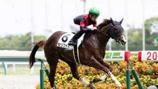 【新馬/中京5R】ダイワメジャー産駒 セリフォスがデビューV！