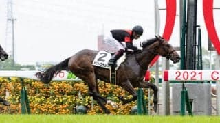 【新馬/中京5R】シルバーステート産駒 メリトクラシーがデビューV