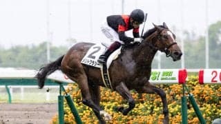 【新馬/中京5R】福永「不安なく臨めた」メリトクラシーがデビューV