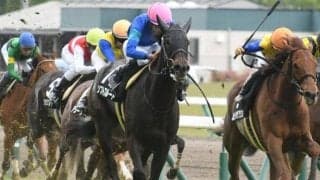 【マーメイドS見どころ】ソフトフルートが混戦断ち重賞初V狙う