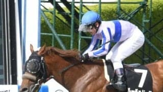 【ユニコーンS見どころ】マクフィ産駒ルーチェドーロが人気の中心か