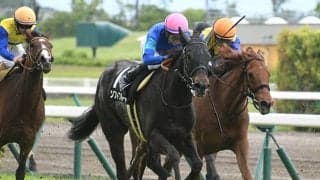 【マーメイドS想定騎手】ソフトフルートは横山和生騎手、アカイイトは松山弘平騎手