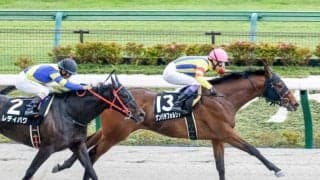 【ユニコーンS展望】ダート王への登竜門、注目はあの馬